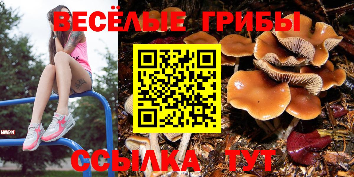 Псилоцибиновые грибы ЛСД  Псилоцибиновые грибы мицелий  Хабаровск  Вход с VPN 