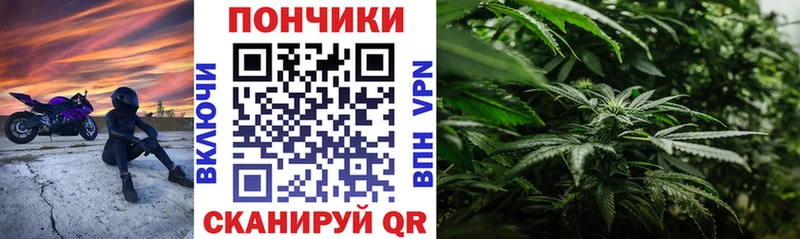 как найти закладки Хабаровск OMG рабочий сайт МАРИХУАНА гибрид